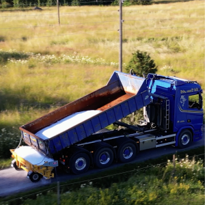 Vägsalt